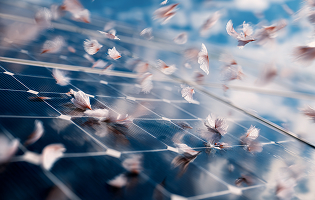 기후환경(낙엽)